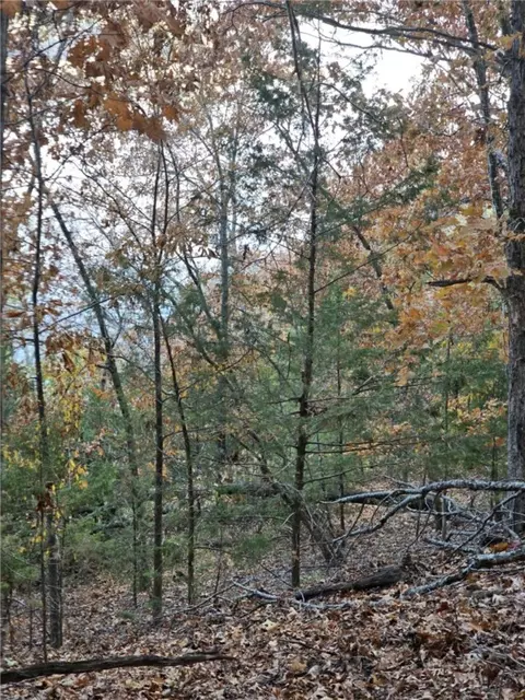 tbd Ventris Rd, Garfield, AR 72732 photo 39