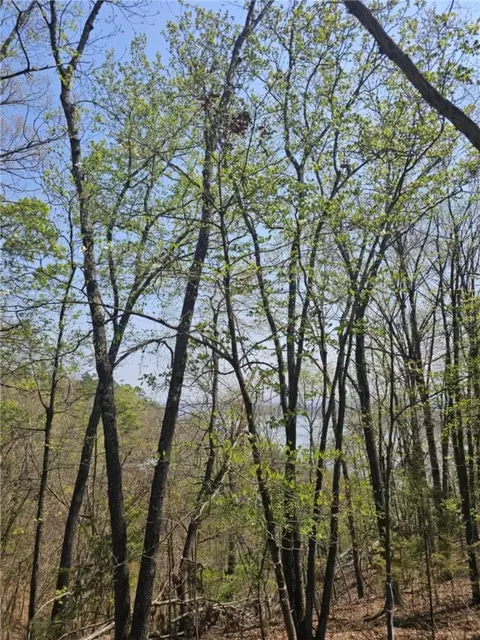 tbd Ventris Rd, Garfield, AR 72732 photo 19