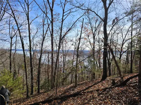 tbd Ventris Rd, Garfield, AR 72732 photo 5