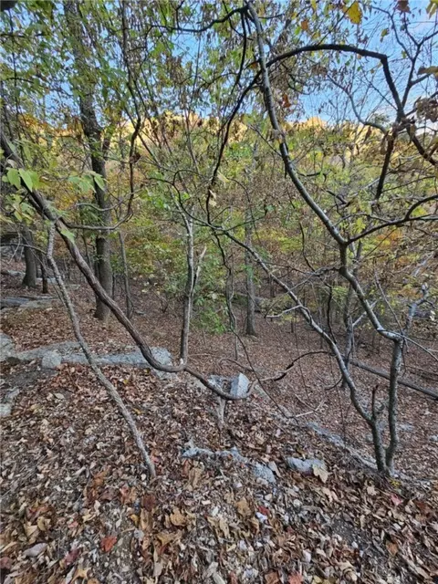 tbd Ventris Rd, Garfield, AR 72732 photo 28