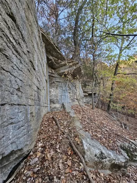 tbd Ventris Rd, Garfield, AR 72732 photo 27