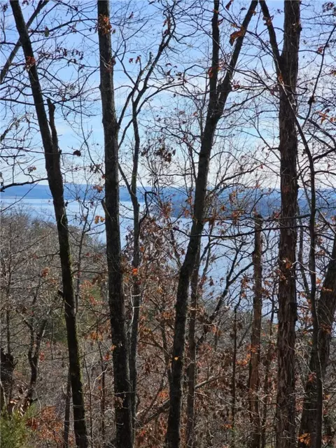 tbd Ventris Rd, Garfield, AR 72732 photo 45