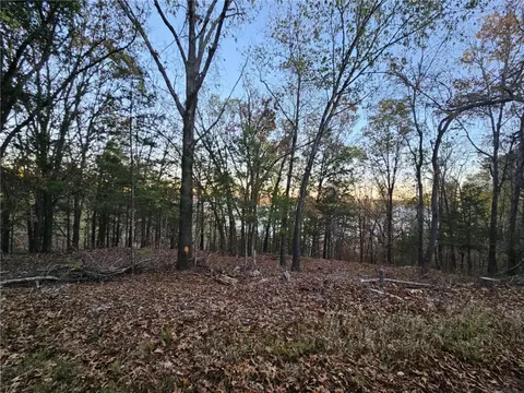 tbd Ventris Rd, Garfield, AR 72732 photo 13