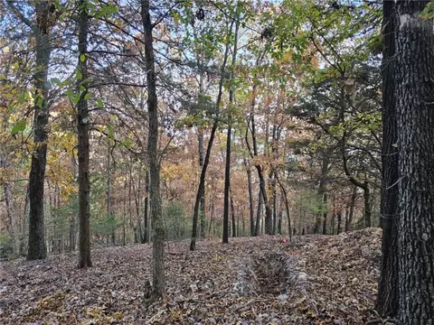 tbd Ventris Rd, Garfield, AR 72732 photo 41