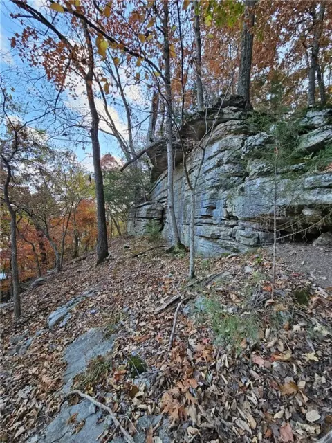 tbd Ventris Rd, Garfield, AR 72732 photo 35