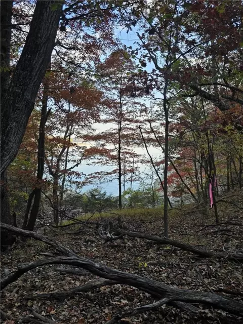 tbd Ventris Rd, Garfield, AR 72732 photo 26