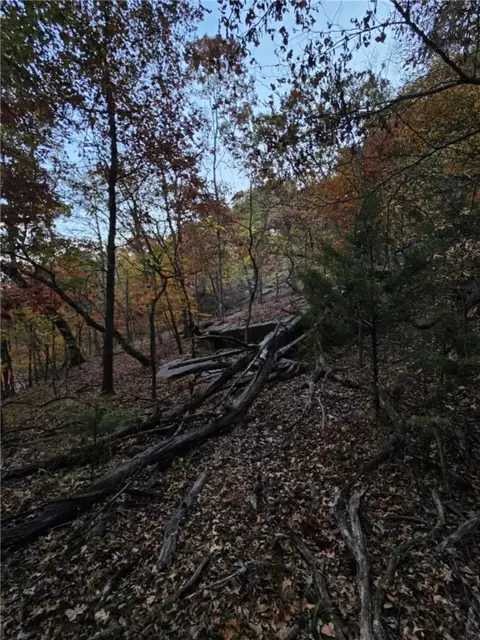 tbd Ventris Rd, Garfield, AR 72732 photo 25