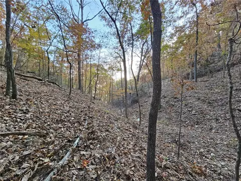 tbd Ventris Rd, Garfield, AR 72732 photo 18