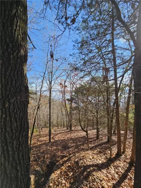 tbd Ventris Rd, Garfield, AR 72732 photo 44