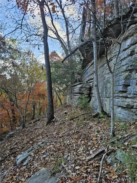 tbd Ventris Rd, Garfield, AR 72732 photo 38