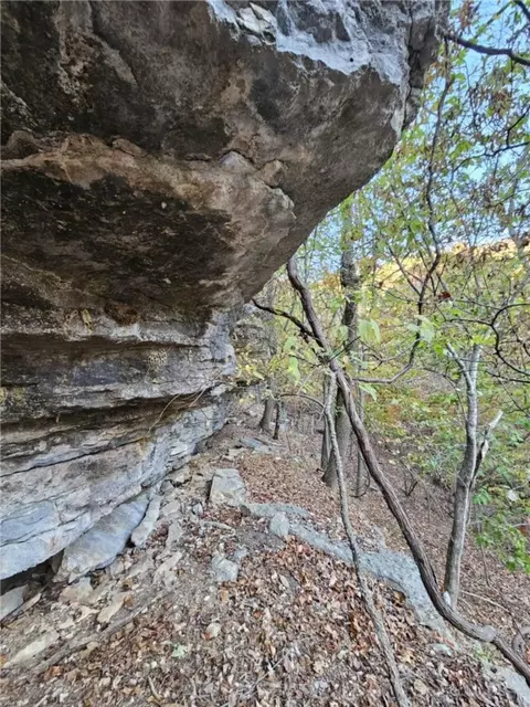 tbd Ventris Rd, Garfield, AR 72732 photo 29