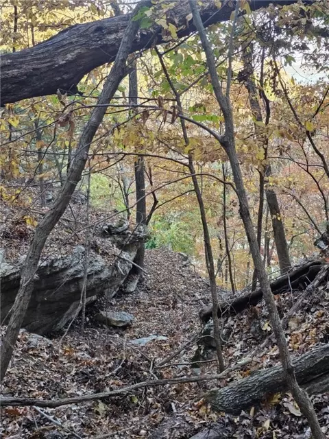 tbd Ventris Rd, Garfield, AR 72732 photo 36
