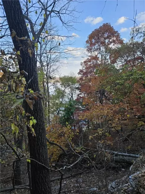 tbd Ventris Rd, Garfield, AR 72732 photo 31