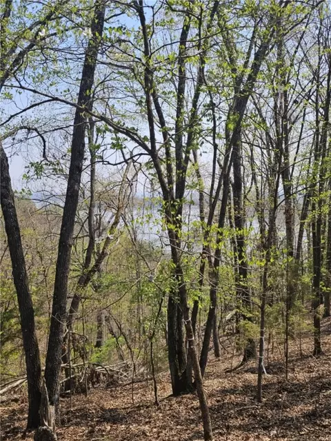 tbd Ventris Rd, Garfield, AR 72732 photo 8