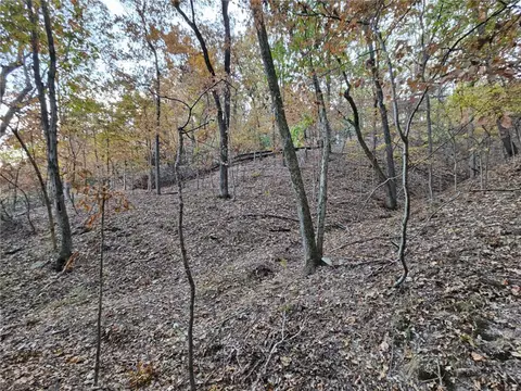 tbd Ventris Rd, Garfield, AR 72732 photo 23