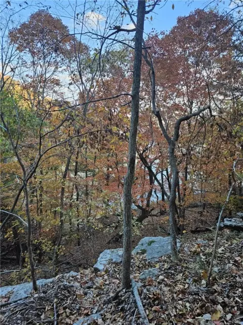 tbd Ventris Rd, Garfield, AR 72732 photo 30