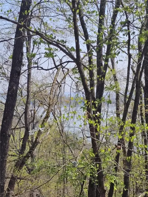 tbd Ventris Rd, Garfield, AR 72732 photo 20