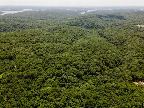 Blackberry Drive, Rogers, AR 72756 photo 8