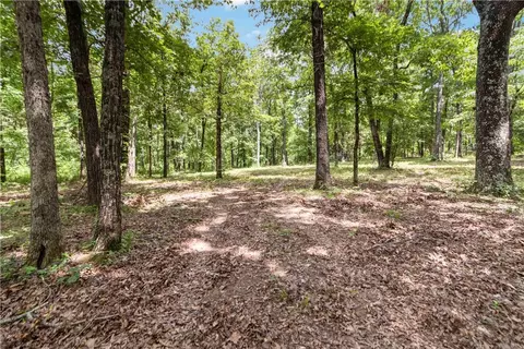 Exterior - 21201 Bug Scuffle Rd, West Fork, AR 72774 photo 12 of 17