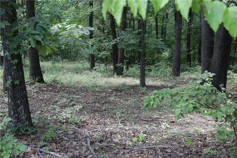 lot34 Block 3 Runnymede Ln, Bella Vista, AR 72715