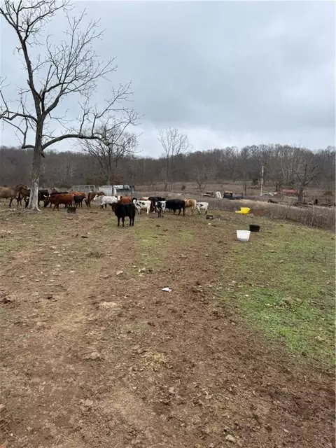 979 Madison 7305, Wesley, AR 72773 photo 8