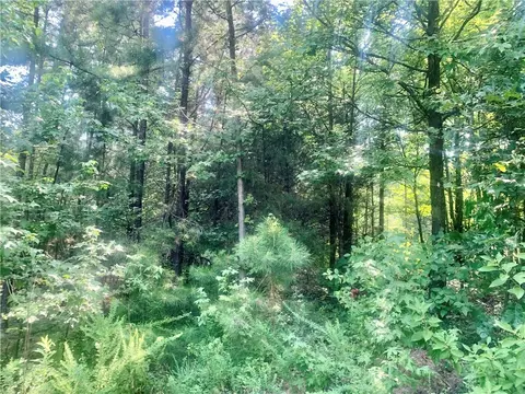 00 Doe Ln, Dover, AR 72837