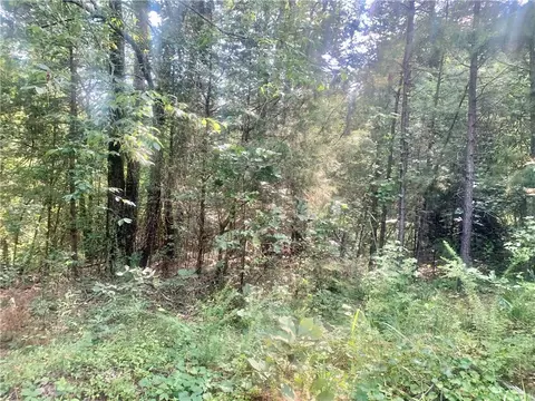 00 Doe Ln, Dover, AR 72837 photo 3