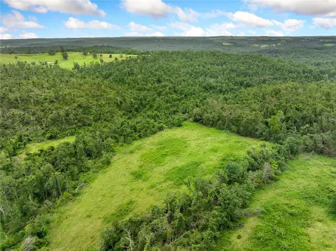 1100 Mc 4013, Harrison, AR 72601 photo 49