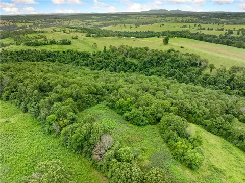 1100 Mc 4013, Harrison, AR 72601 photo 55