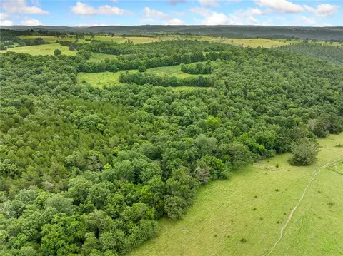 1100 Mc 4013, Harrison, AR 72601 photo 53