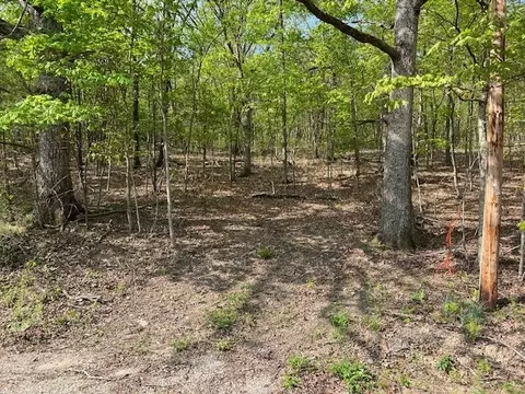 33 Venus Ave, Holiday Island, AR 72631