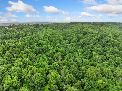 4376 Harmon Rd, Harrison, AR 72601 photo 41
