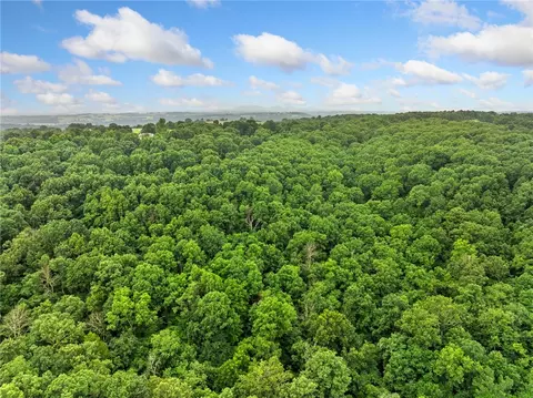4376 Harmon Rd, Harrison, AR 72601 photo 42