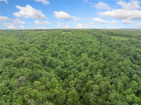 4376 Harmon Rd, Harrison, AR 72601 photo 43