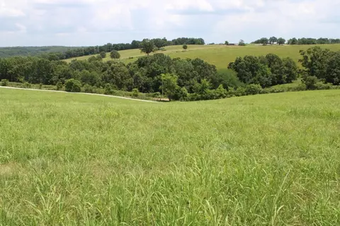 Zinc Road, Harrison, AR 72601 photo 6