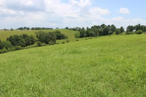 Zinc Road, Harrison, AR 72601 photo 8