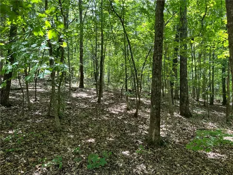 293 Cr 2420, Jasper, AR 72641 photo 34
