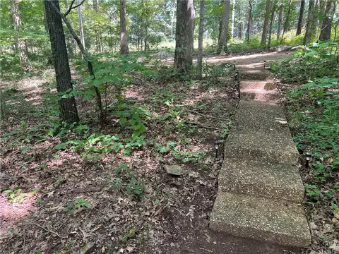 293 Cr 2420, Jasper, AR 72641 photo 36