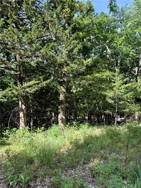 lot40 Pine Dr, Garfield, AR 72732