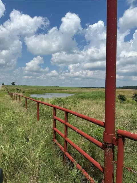 Pine, Hector, AR 72843 photo 5