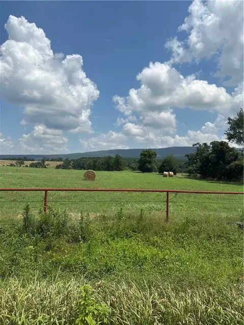 Pine, Hector, AR 72843 photo 3