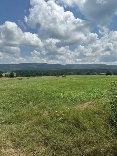 Pine, Hector, AR 72843 photo 6