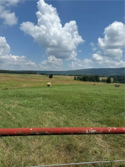 Pine, Hector, AR 72843 photo 4