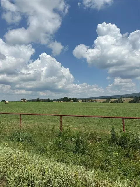 Pine, Hector, AR 72843 photo 2