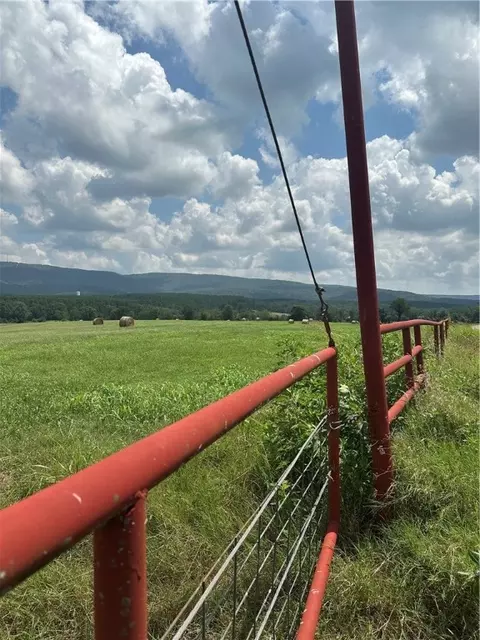 Pine, Hector, AR 72843 photo 8