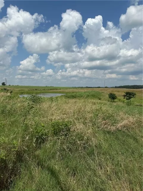 Pine, Hector, AR 72843 photo 7