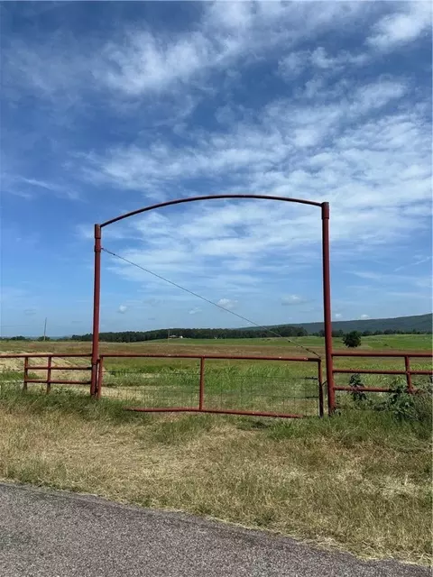 Pine, Hector, AR 72843
