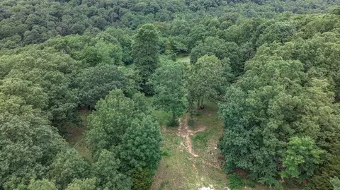14161 Low Gap Rd, West Fork, AR 72774 photo 25