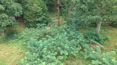14161 Low Gap Rd, West Fork, AR 72774 photo 38
