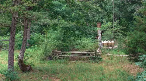 14161 Low Gap Rd, West Fork, AR 72774 photo 23